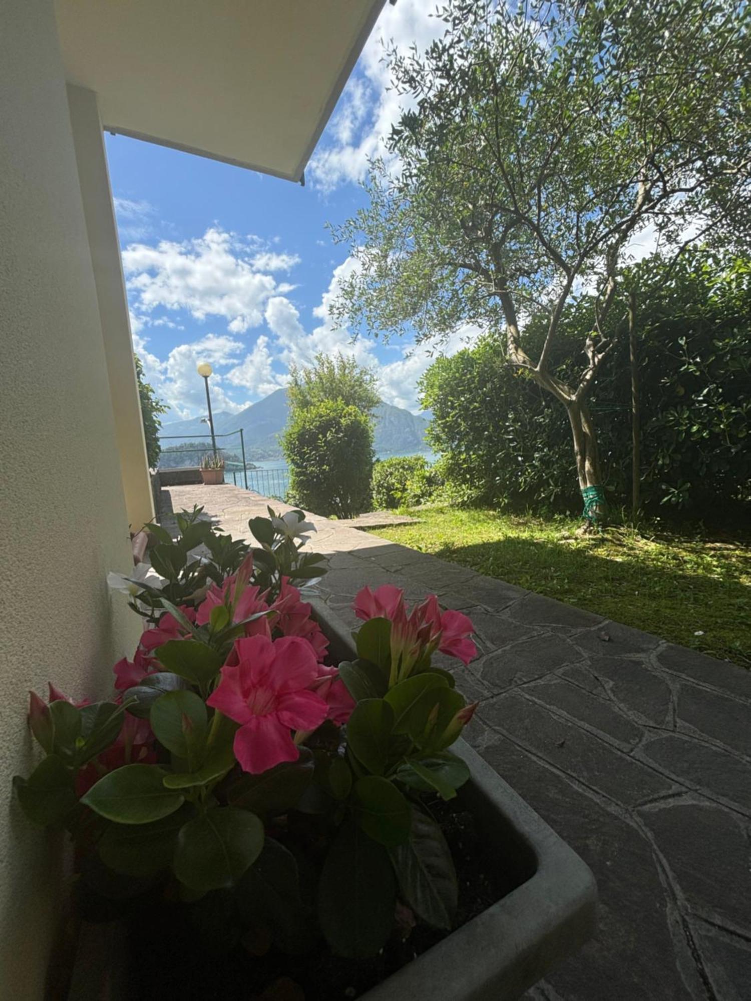 Ortensia Lake Como - Perfect For Couple And Pets Varenna Zewnętrze zdjęcie